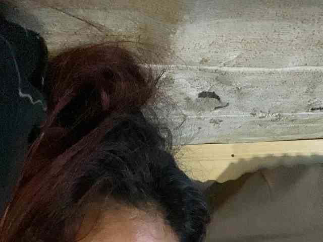 Rainie webcam