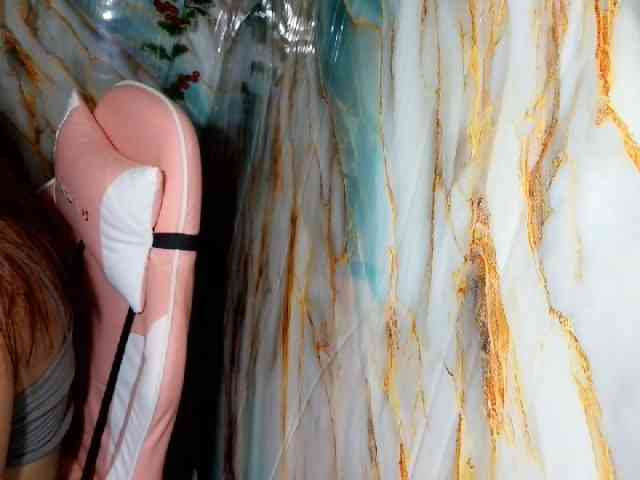 rasberrykat webcam