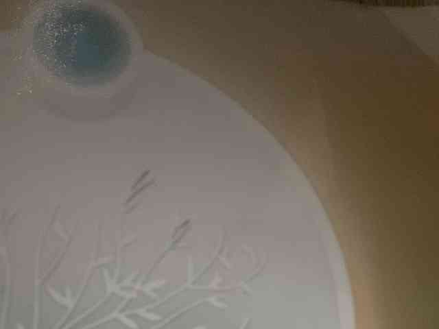Rainie webcam