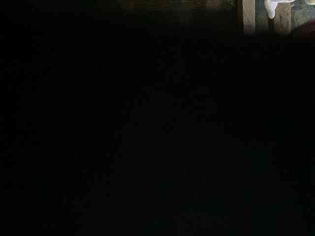 rasberrykat webcam
