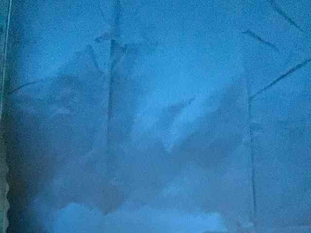 Rainie webcam