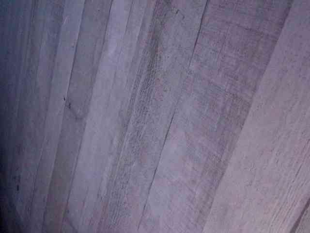Rainie webcam