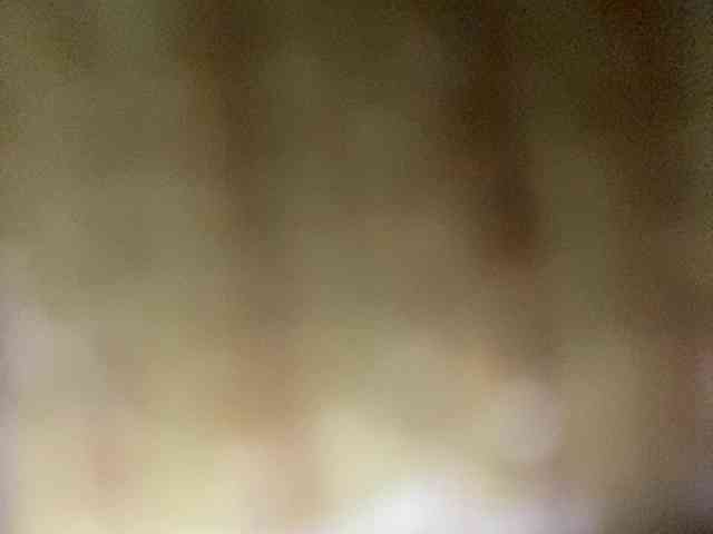 Rainie webcam