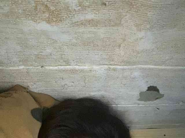 Rainie webcam