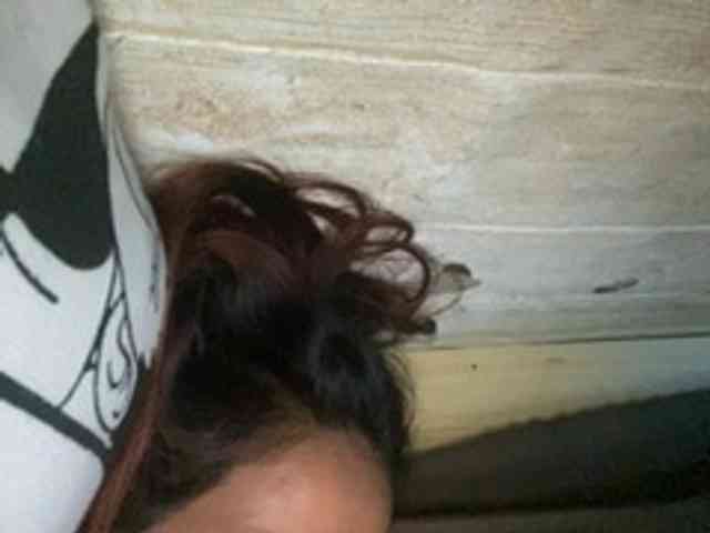 Rainie webcam