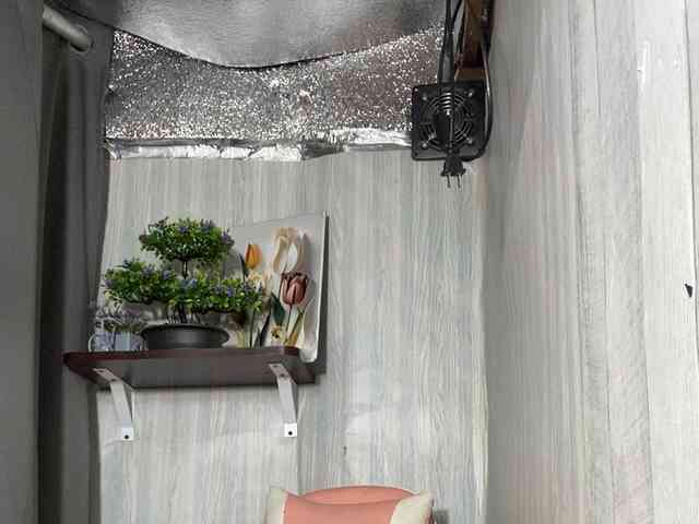Rainie webcam