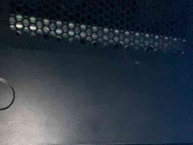 Rainie webcam