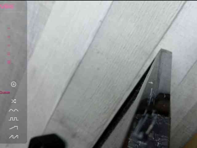 Rainie webcam