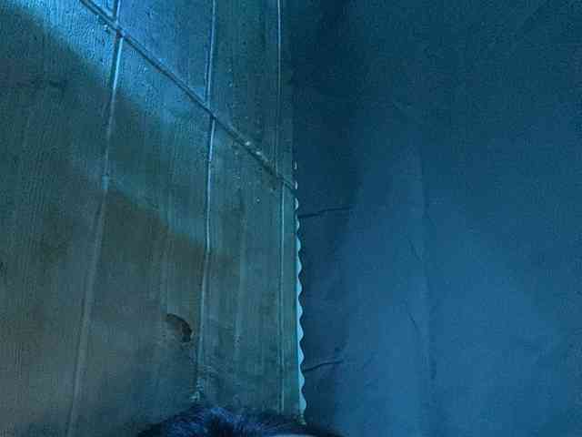 Rainie webcam