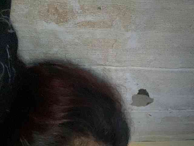 Rainie