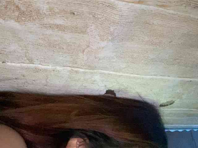 Rainie webcam
