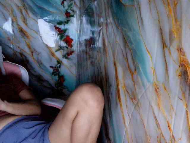 rasberrykat webcam