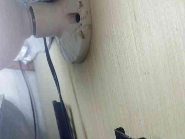 Rainie webcam