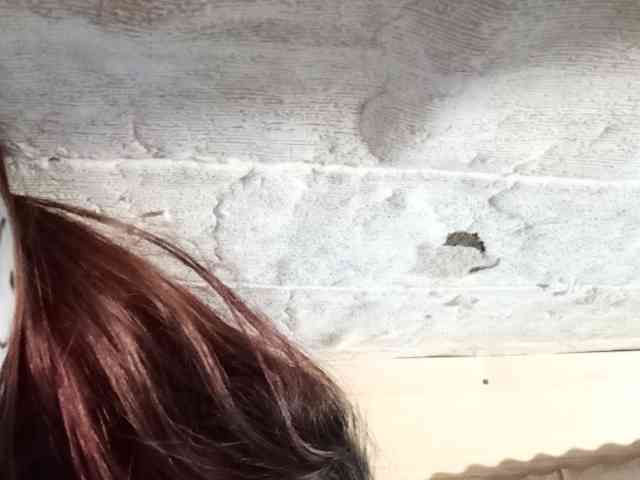 Rainie webcam