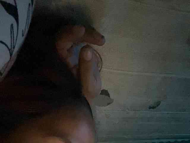 Rainie webcam