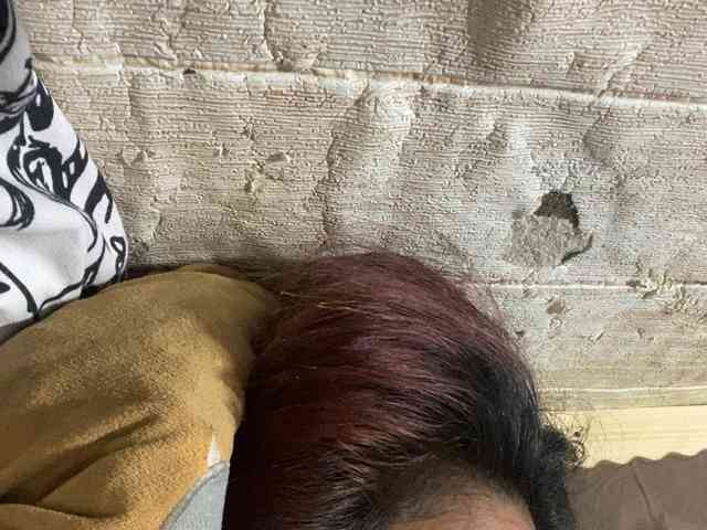 Rainie webcam
