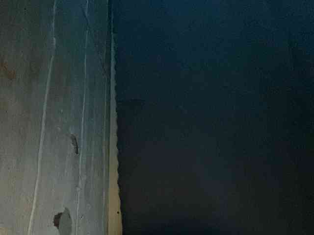 Rainie webcam