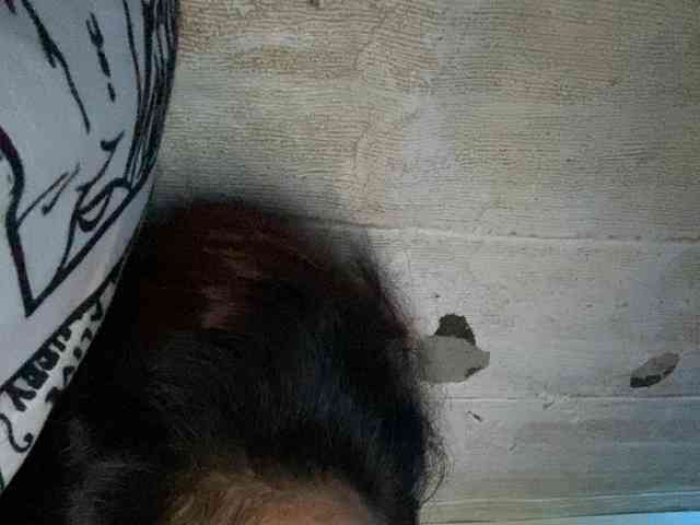 Rainie webcam
