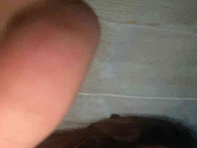 Rainie
