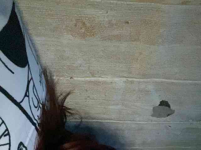 Rainie webcam