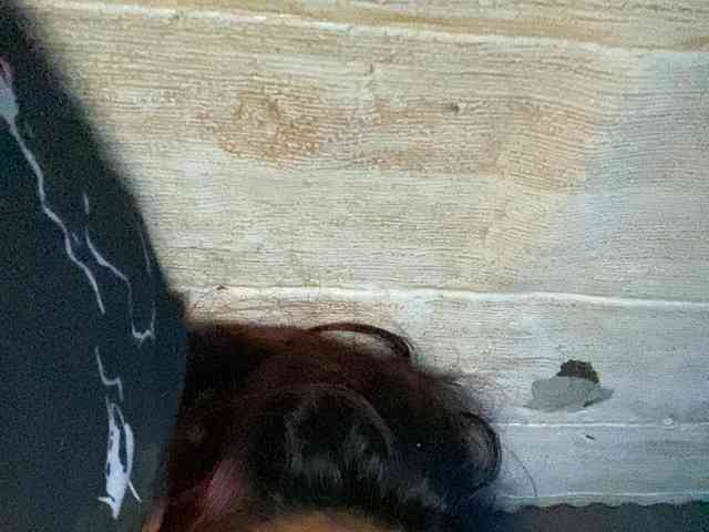 Rainie webcam