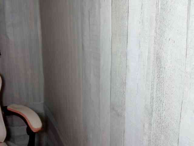 Rainie webcam