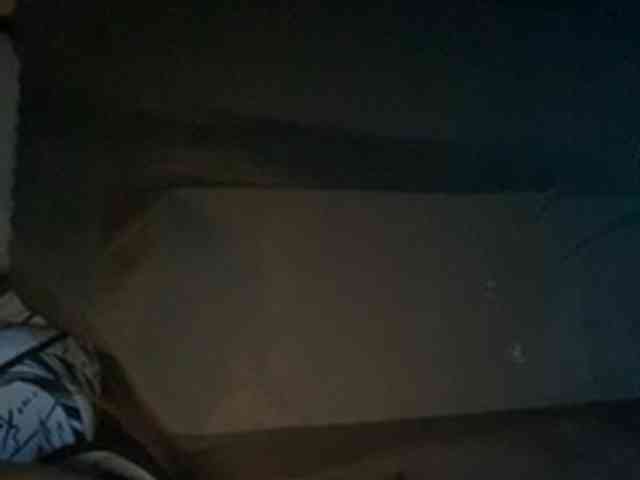 Rainie webcam