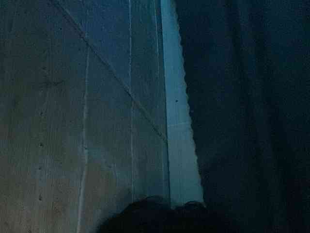 Rainie webcam