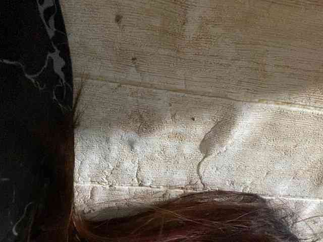 Rainie webcam