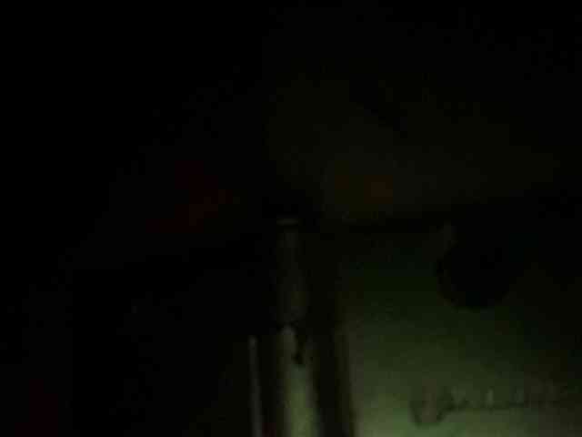 Rainie webcam