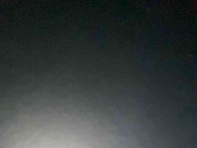 Rainie webcam