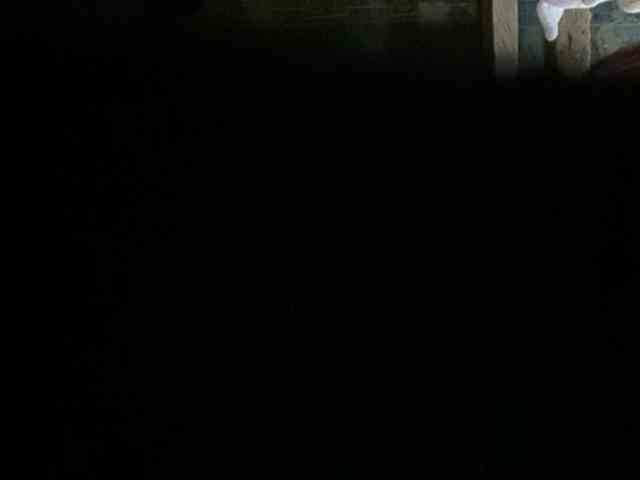 rasberrykat webcam