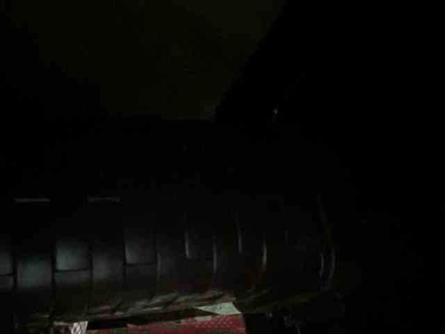 Rainie webcam
