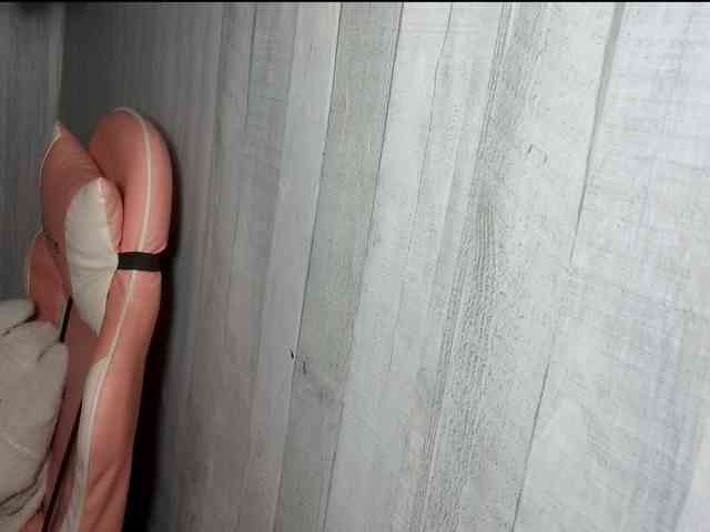 Rainie webcam