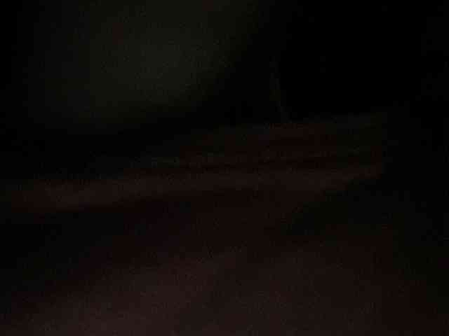 Rainie webcam