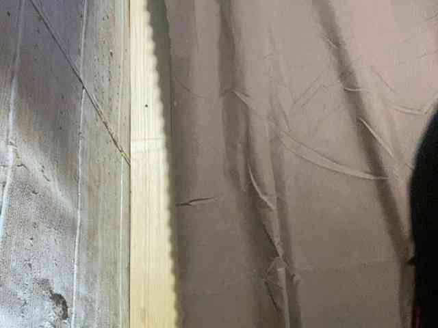 Rainie webcam