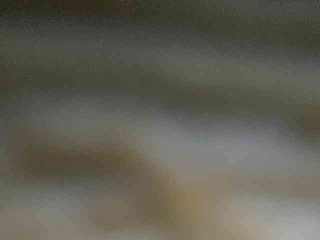 Rainie webcam