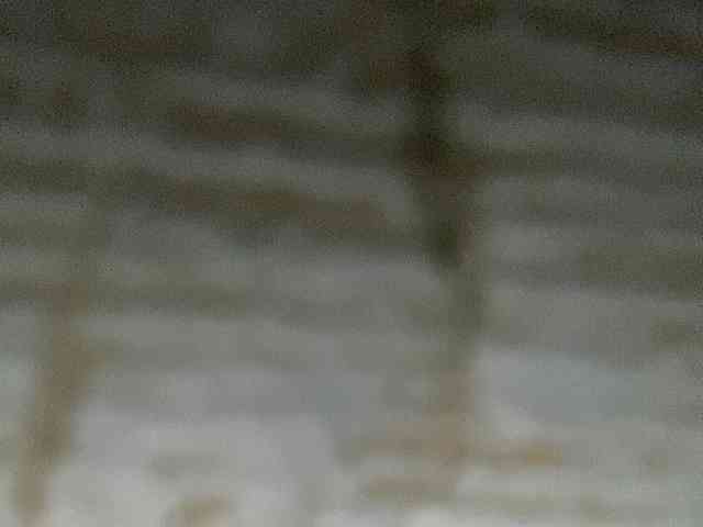 Rainie webcam