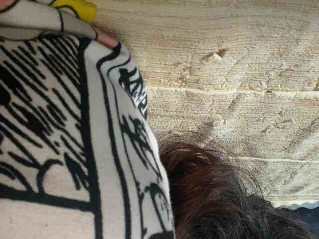 Rainie webcam