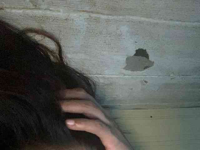 Rainie webcam