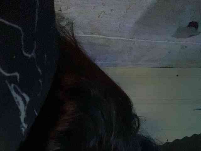 Rainie webcam