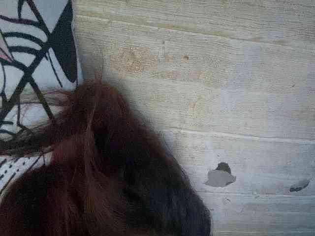 Rainie webcam