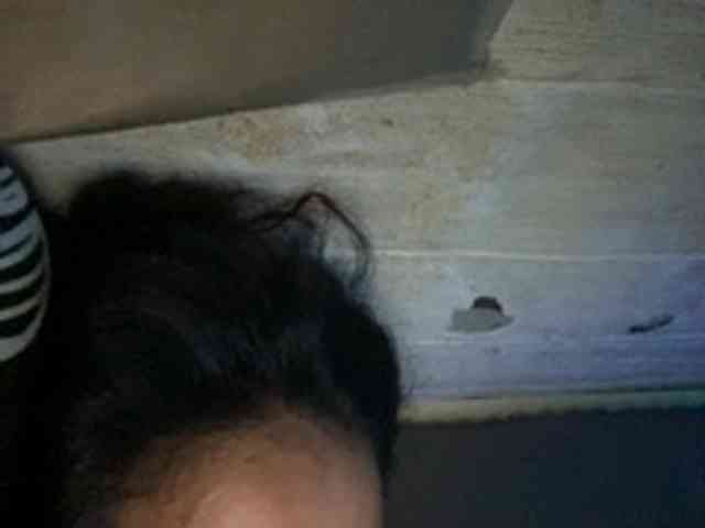 Rainie webcam