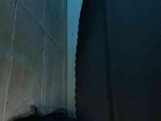 Rainie webcam