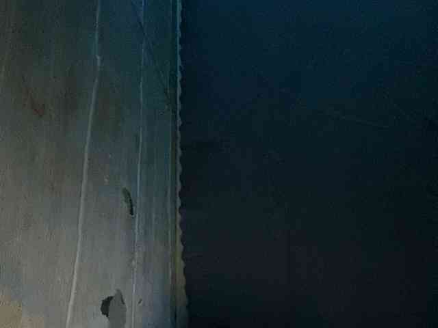 Rainie webcam