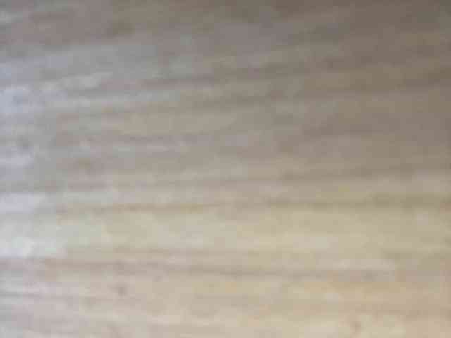 Rainie webcam