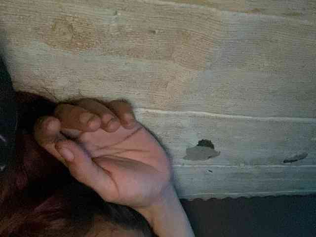 Rainie webcam