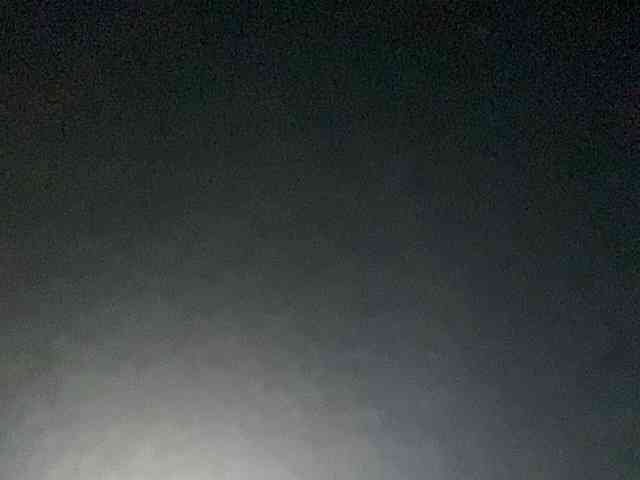 Rainie webcam