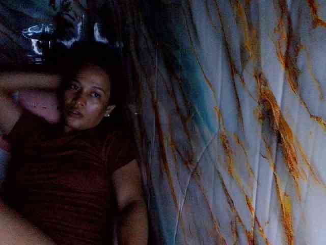 rasberrykat webcam