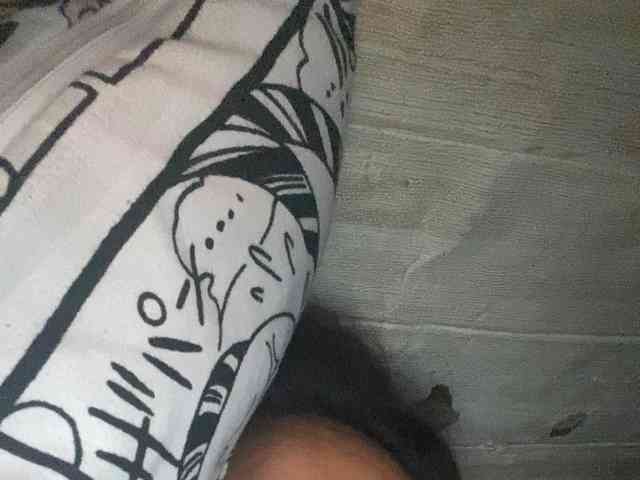 Rainie webcam